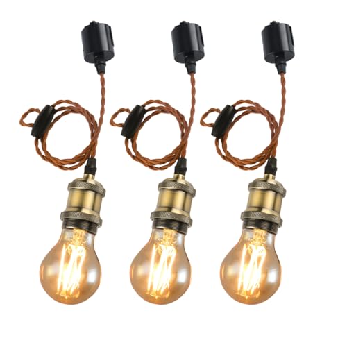 Amazon.co.jp: LVWIT ペンダントライト E26口金 LED電球付き